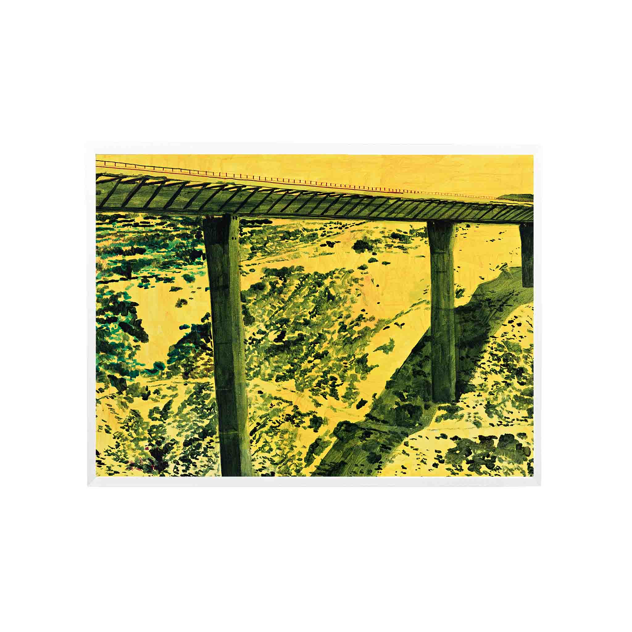 AMOLANAS by Alejandro Quiroga