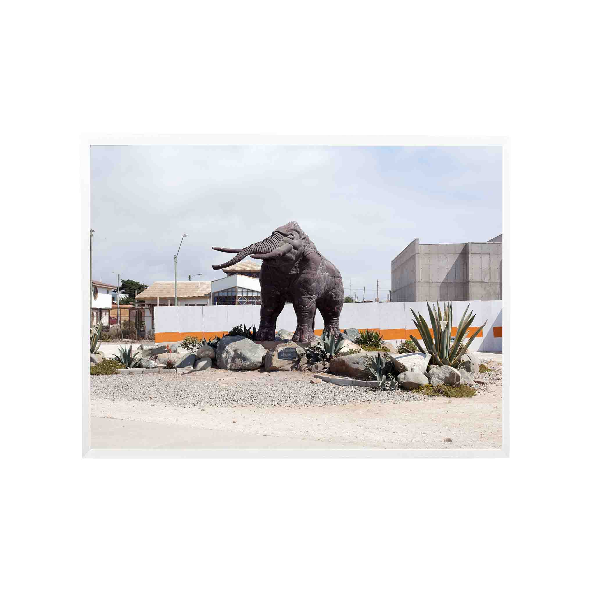 MAMUT by Felipe Coddou - CODÚ