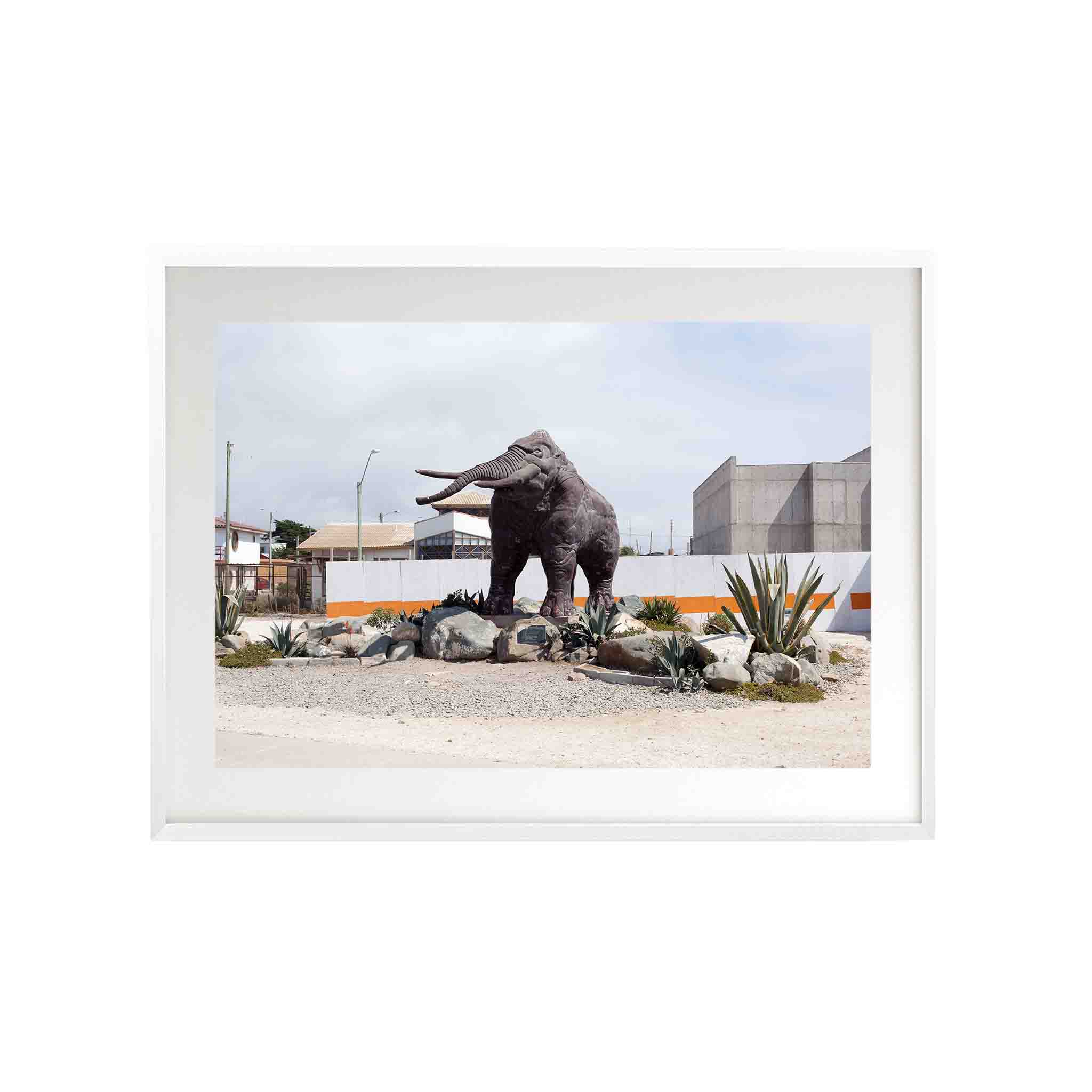 MAMUT by Felipe Coddou - CODÚ