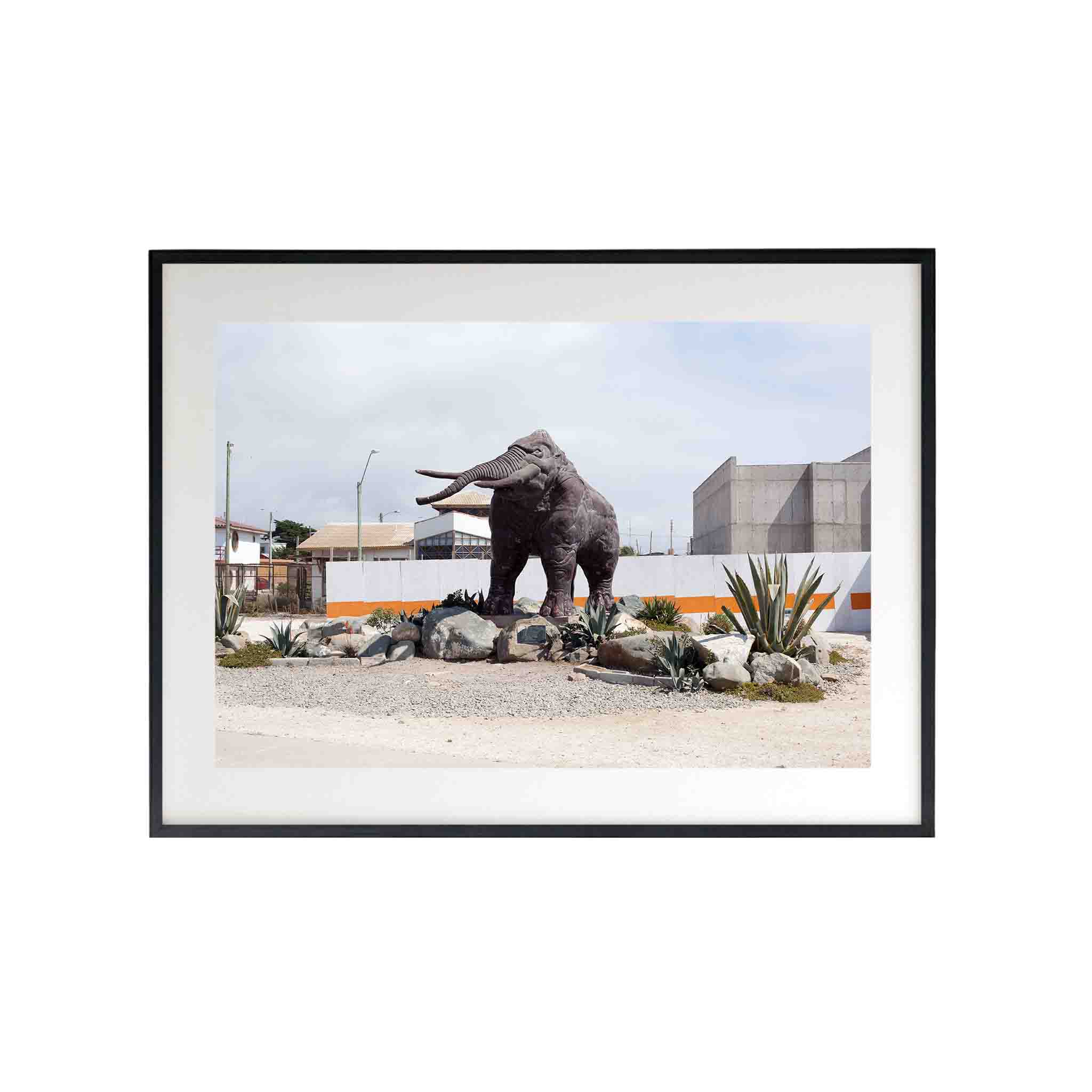 MAMUT by Felipe Coddou - CODÚ