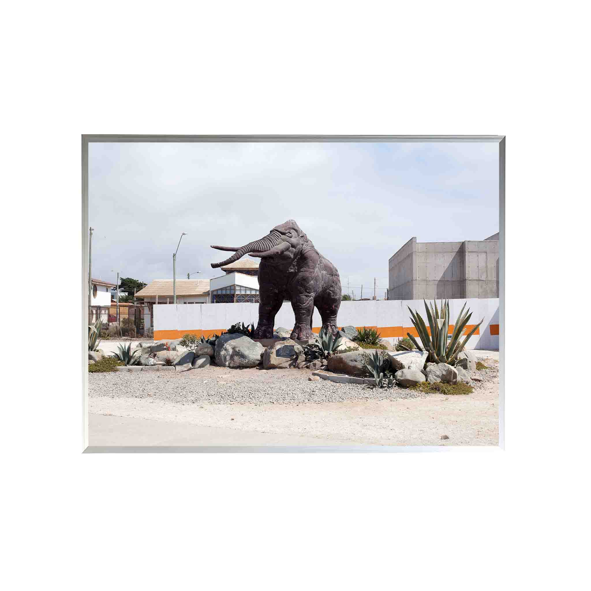 MAMUT by Felipe Coddou - CODÚ