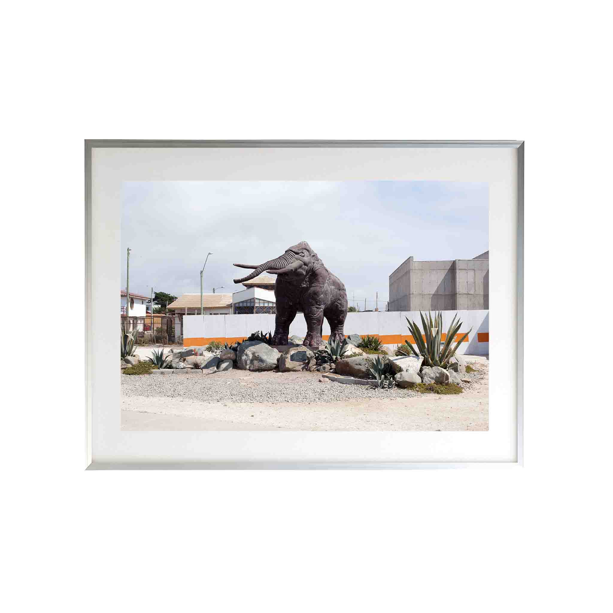 MAMUT by Felipe Coddou - CODÚ