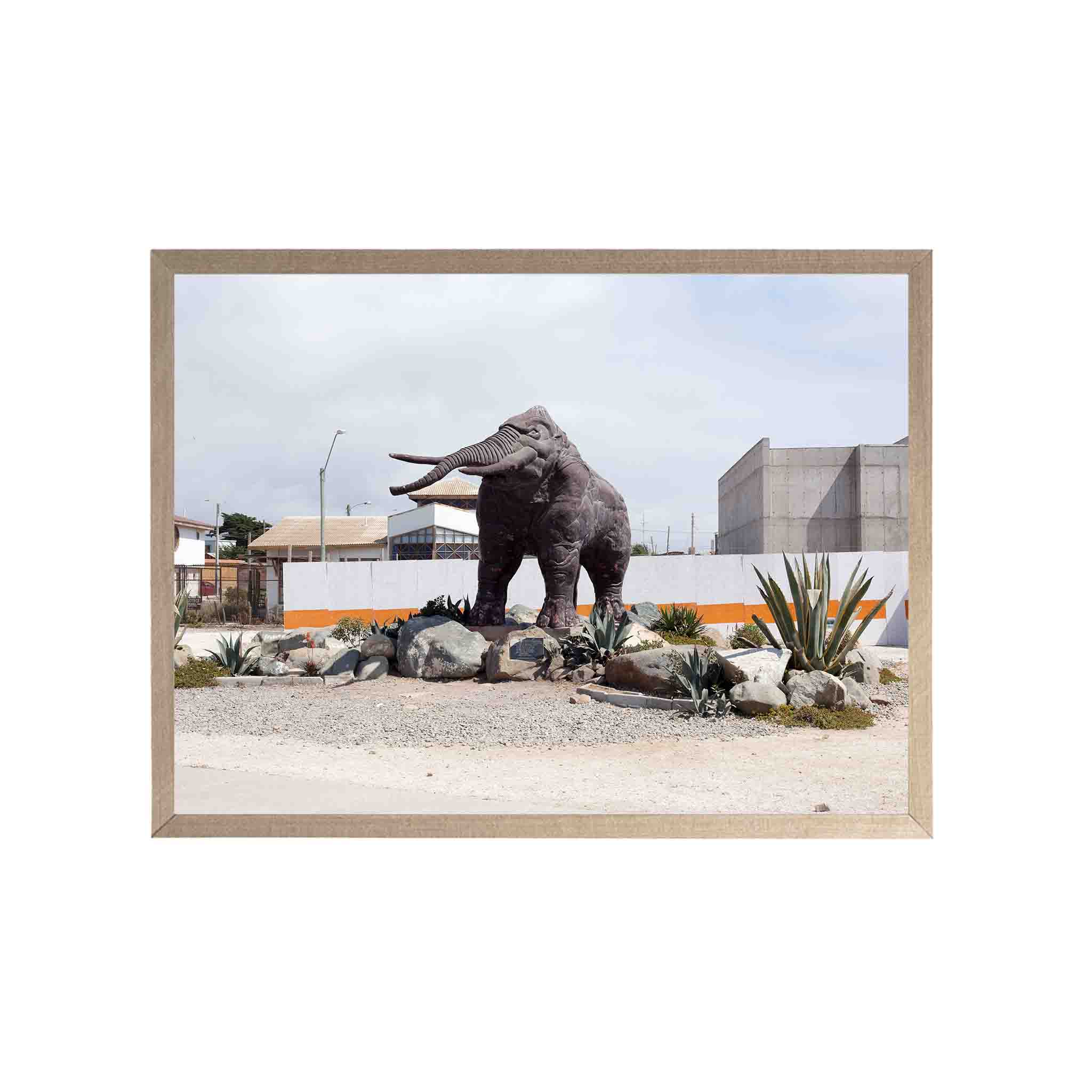 MAMUT by Felipe Coddou - CODÚ