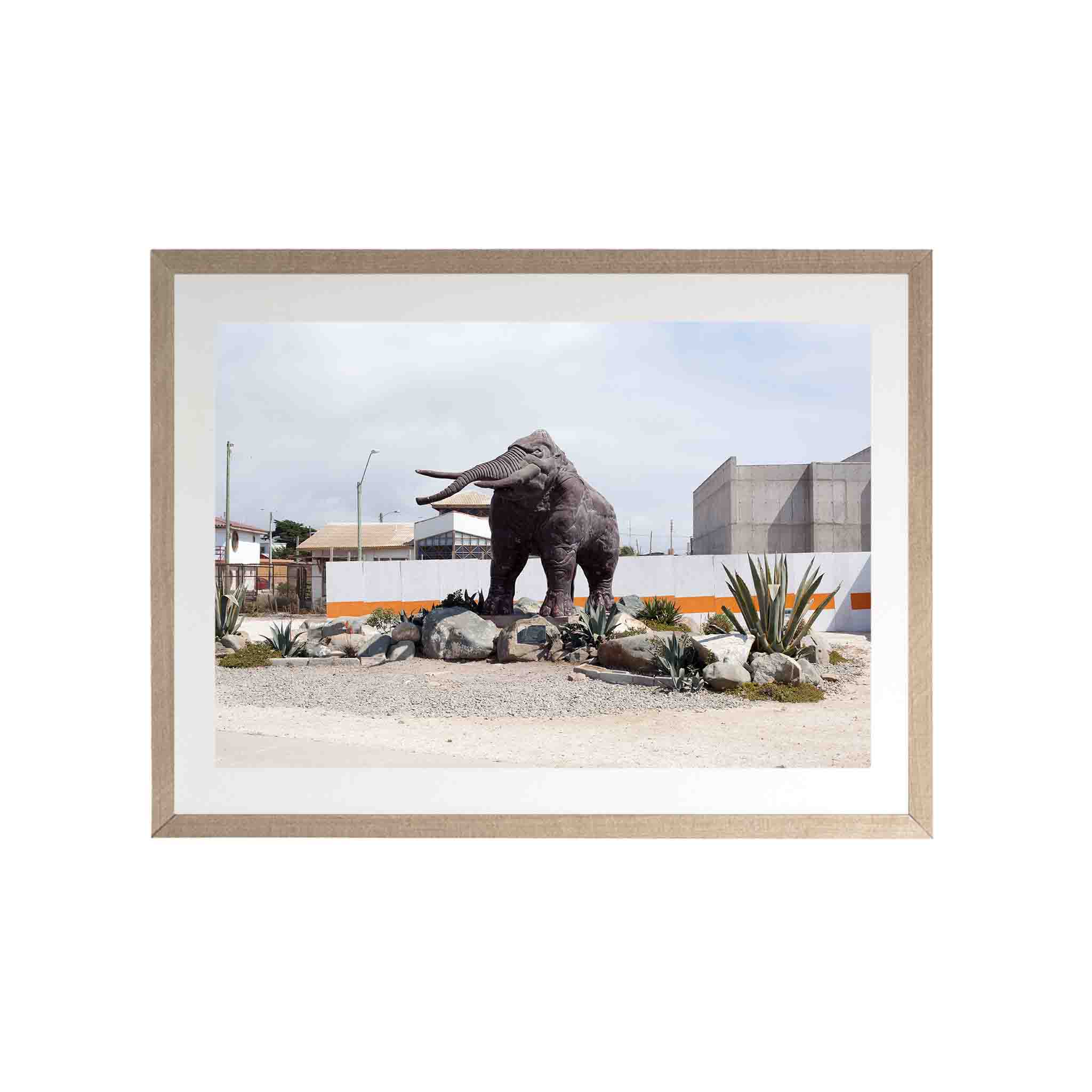 MAMUT by Felipe Coddou - CODÚ