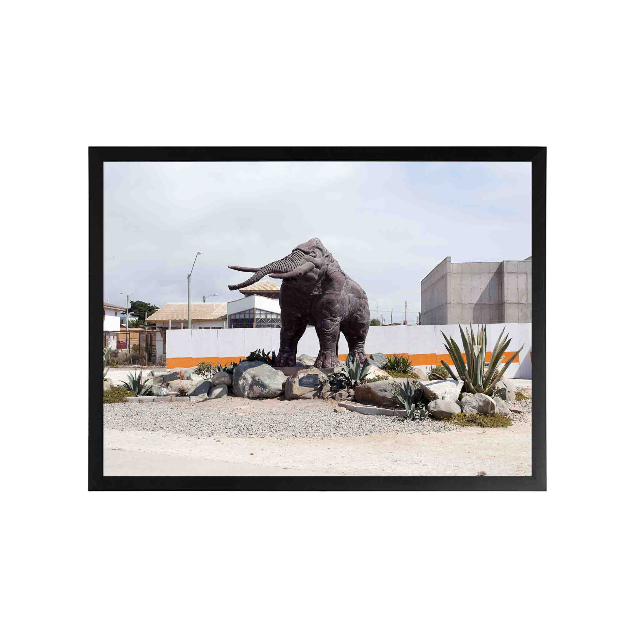 MAMUT by Felipe Coddou - CODÚ