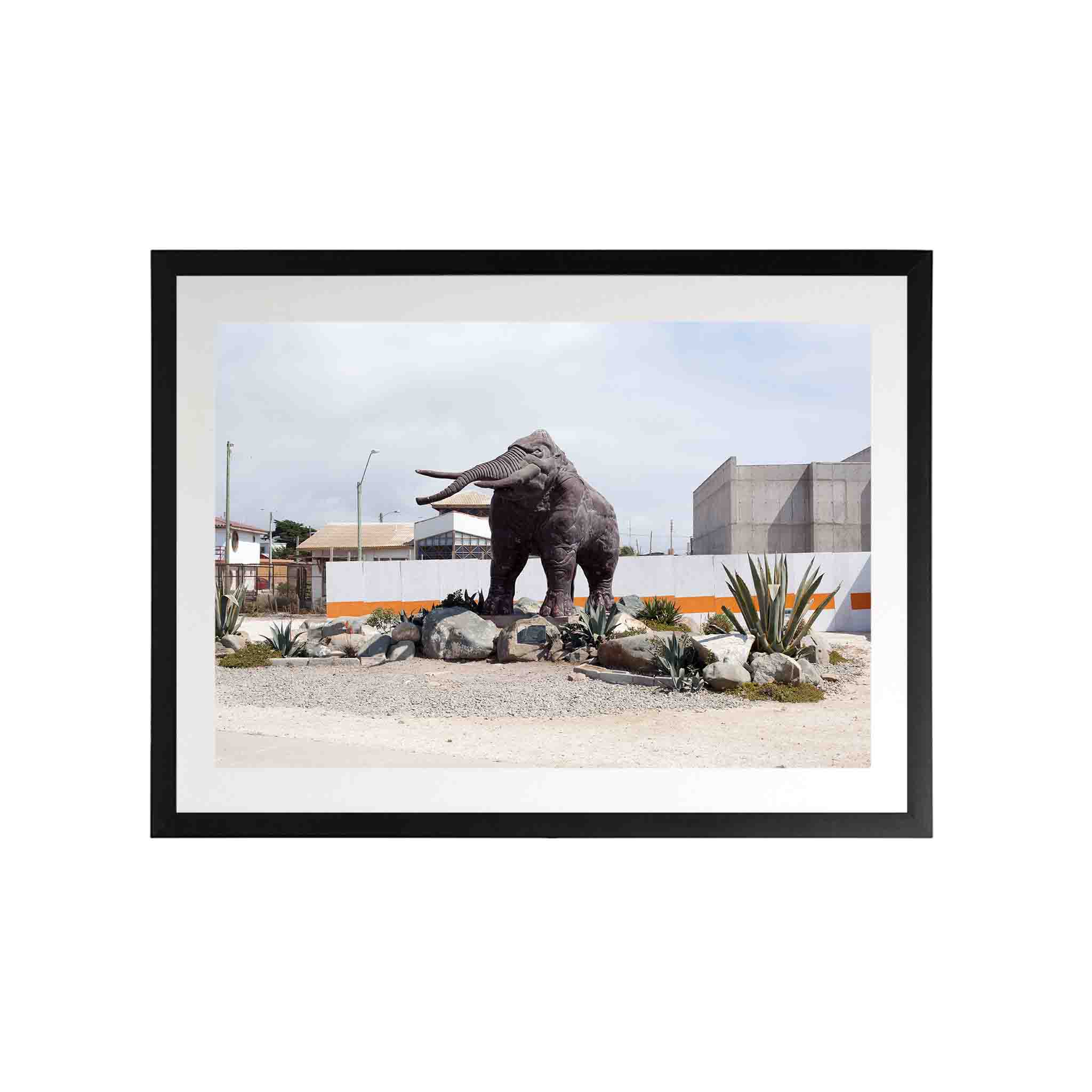 MAMUT by Felipe Coddou - CODÚ