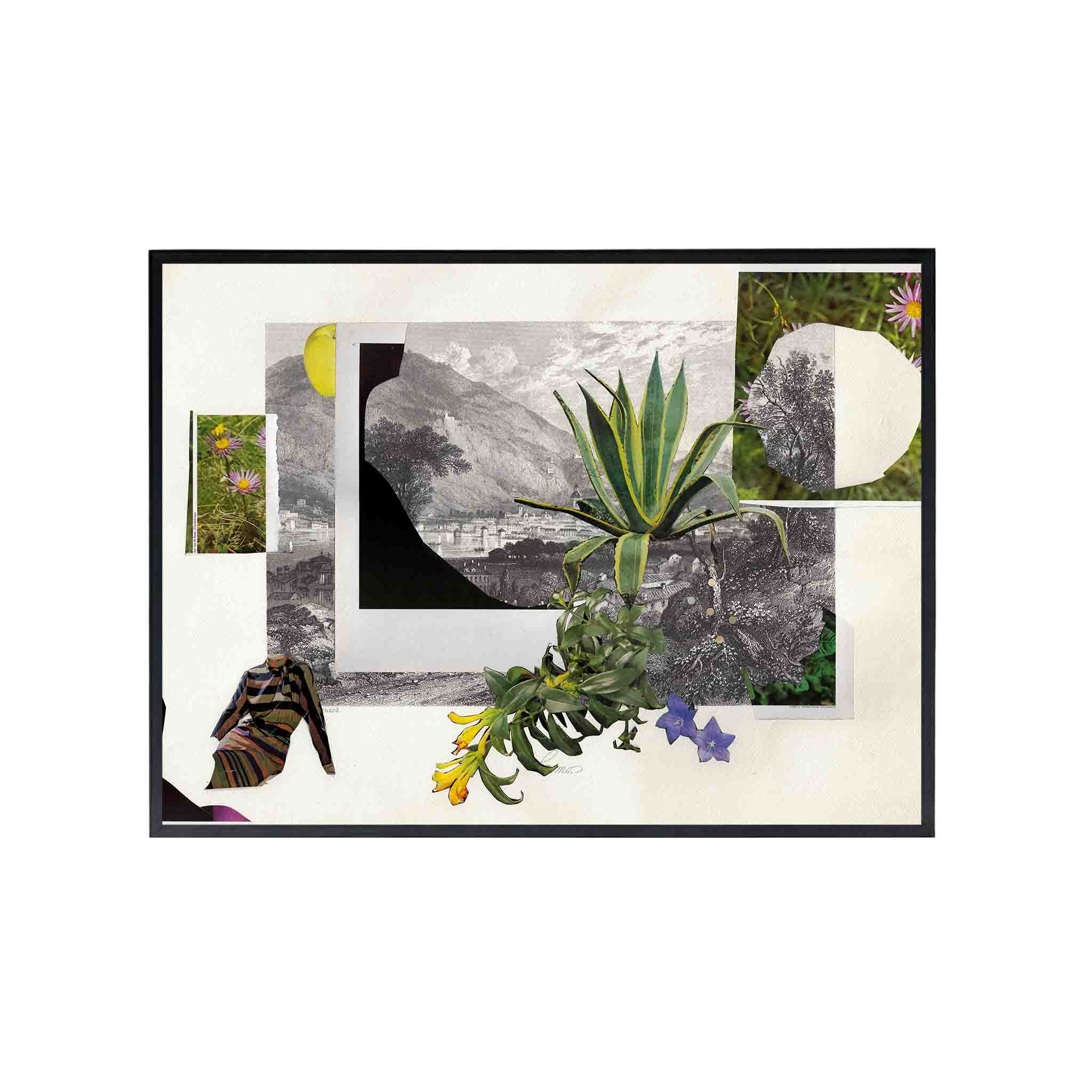 PLANTAS by Virginia Echeverría - CODÚ