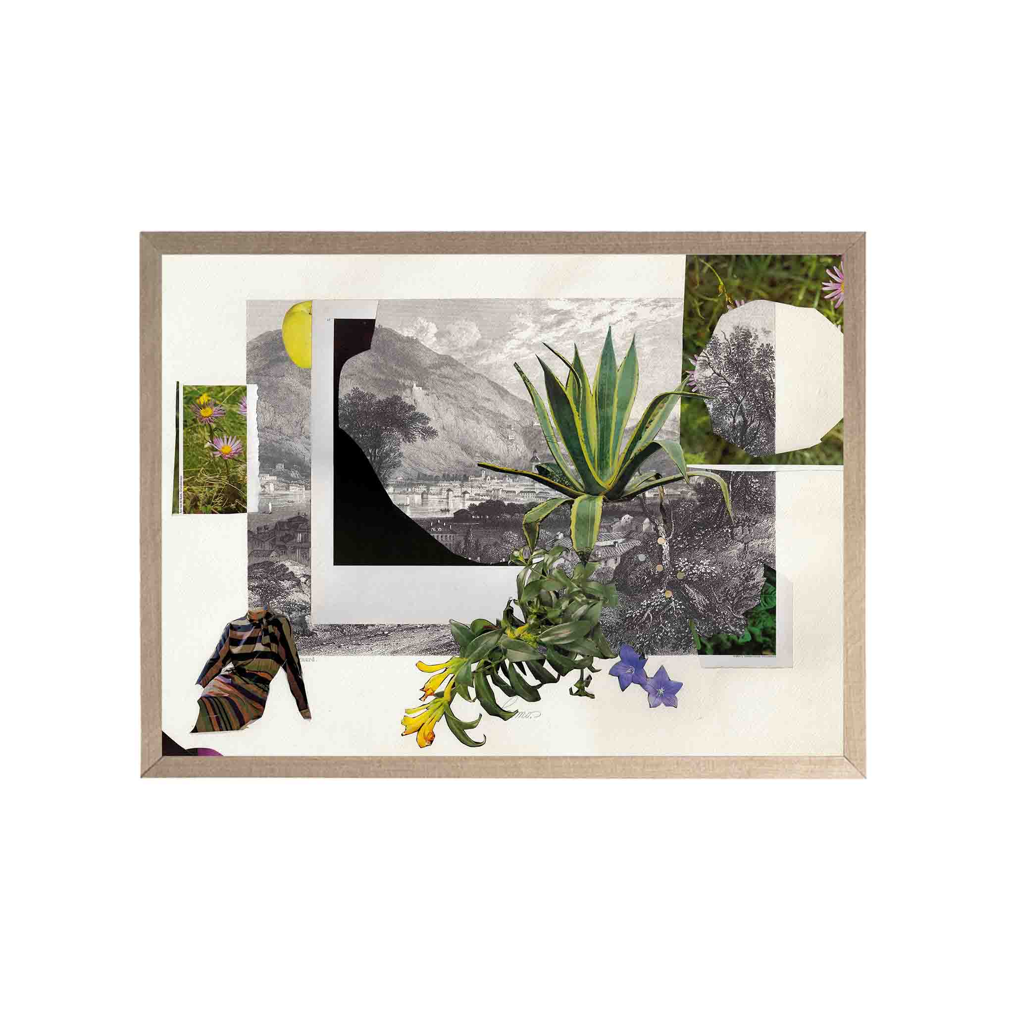 PLANTAS by Virginia Echeverría - CODÚ