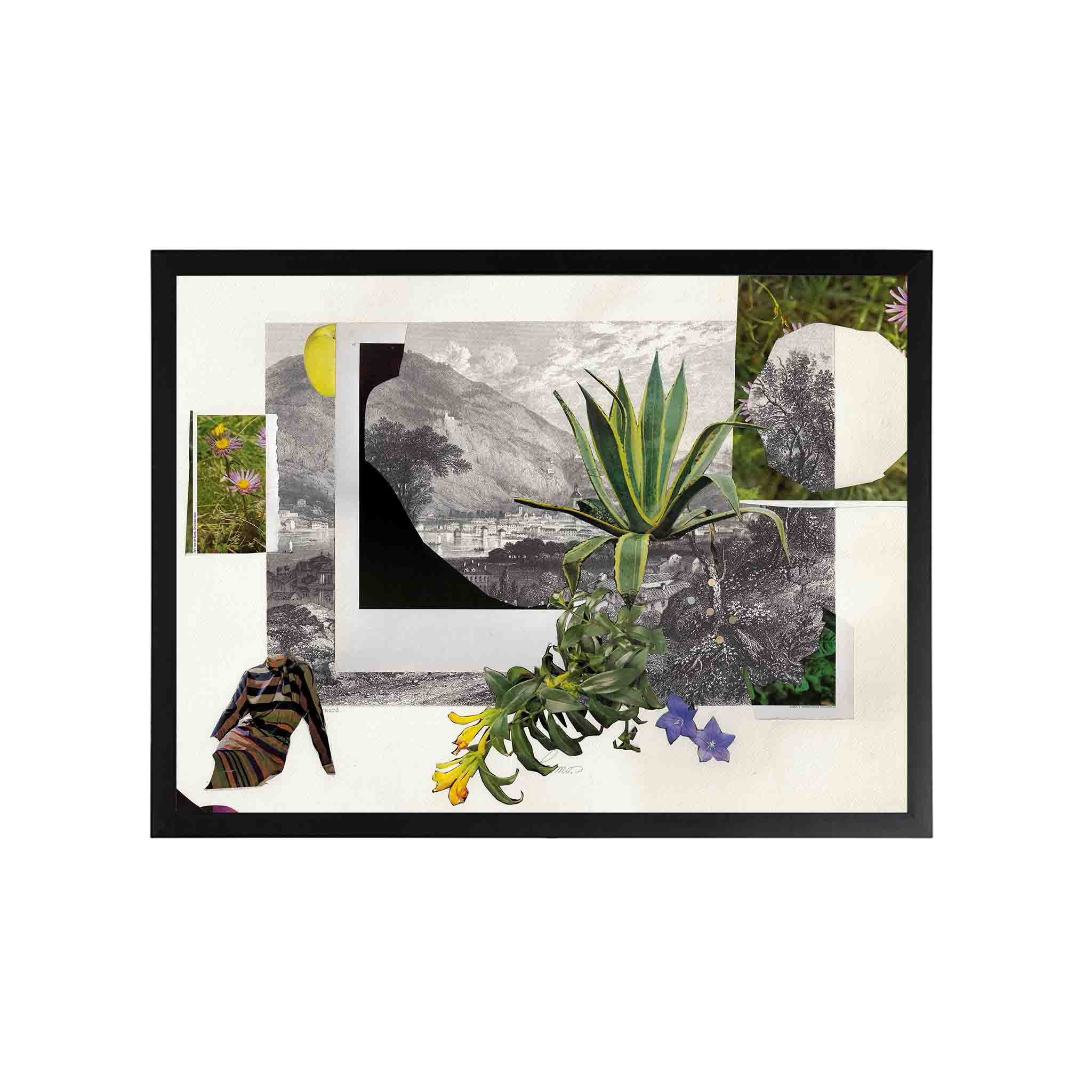 PLANTAS by Virginia Echeverría - CODÚ