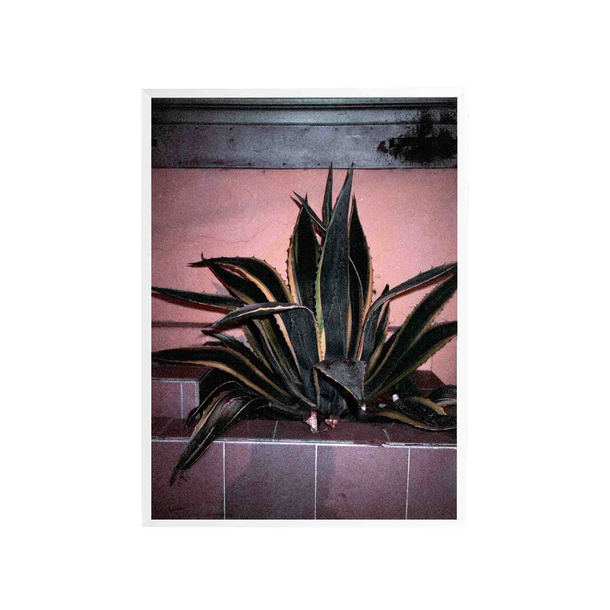 SERIE LA PAZ: # 01 by Nicolás Wormull