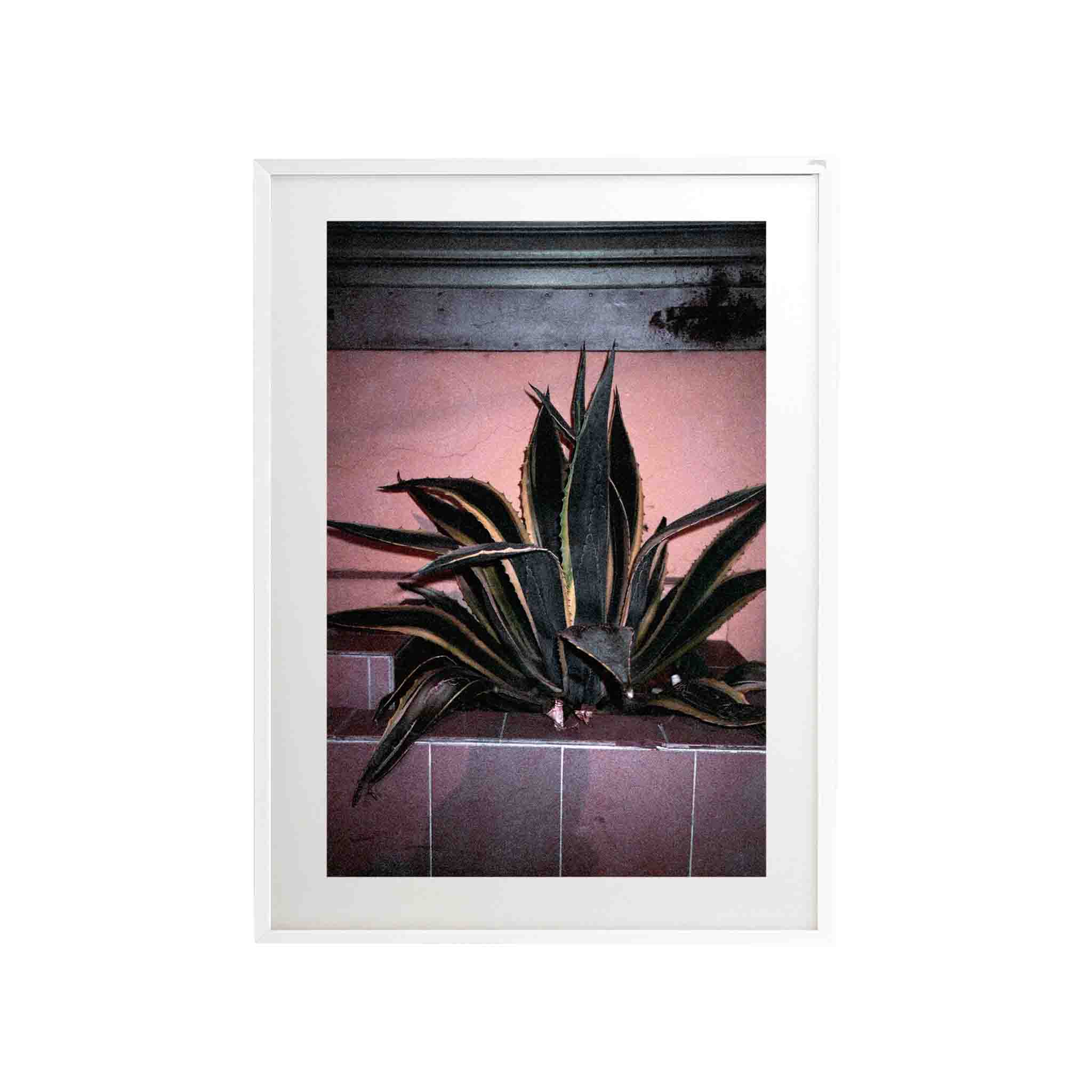 SERIE LA PAZ: # 01 by Nicolás Wormull