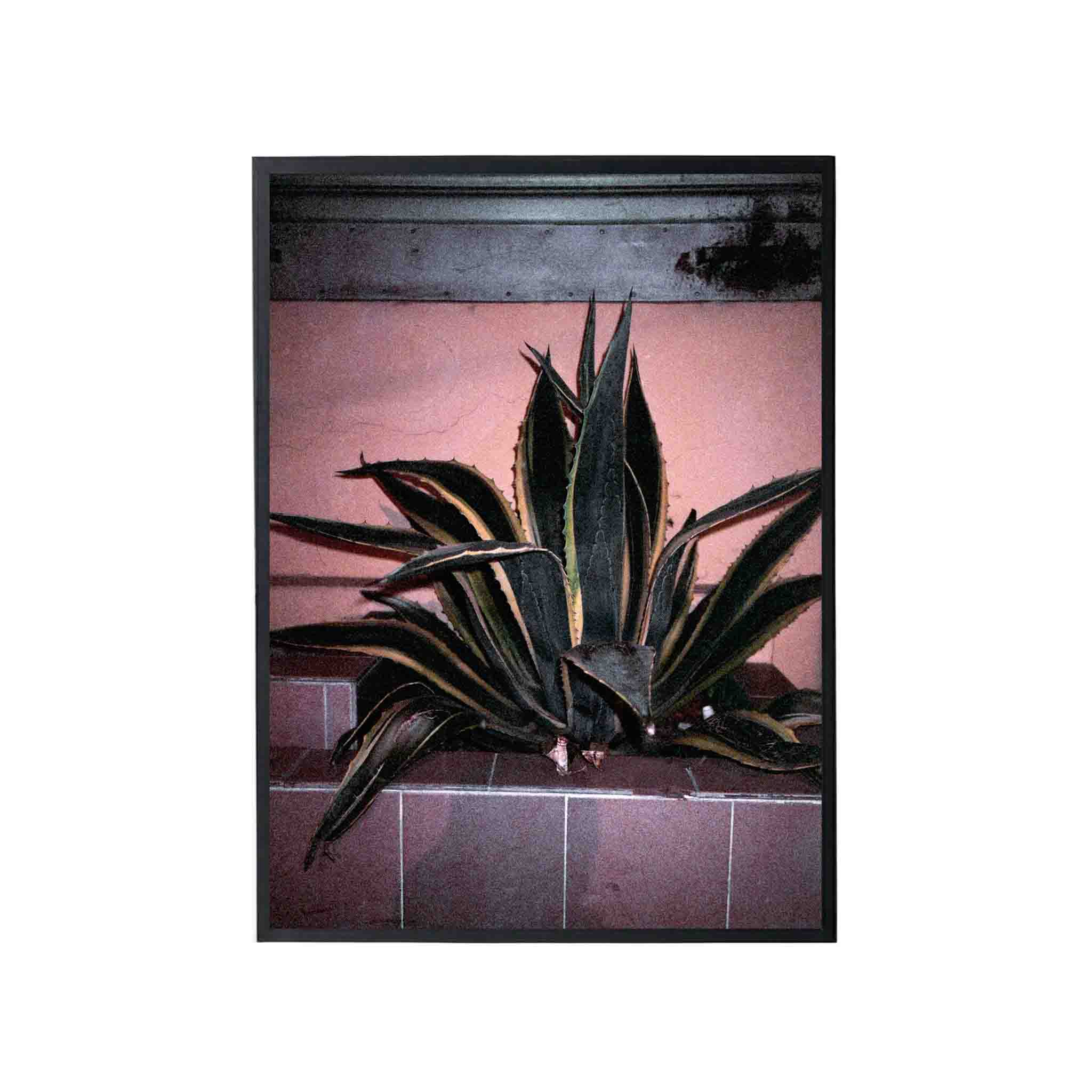 SERIE LA PAZ: # 01 by Nicolás Wormull