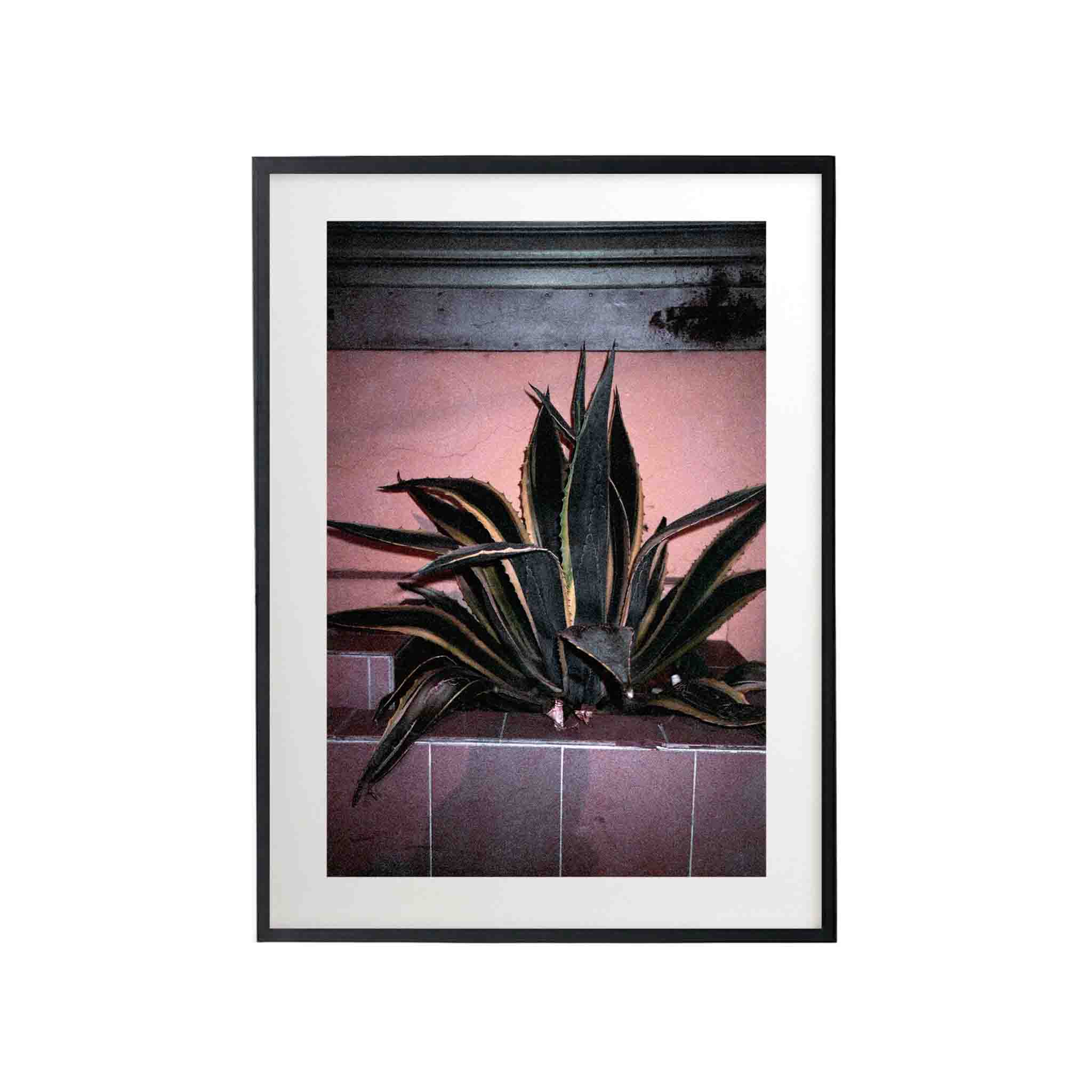 SERIE LA PAZ: # 01 by Nicolás Wormull