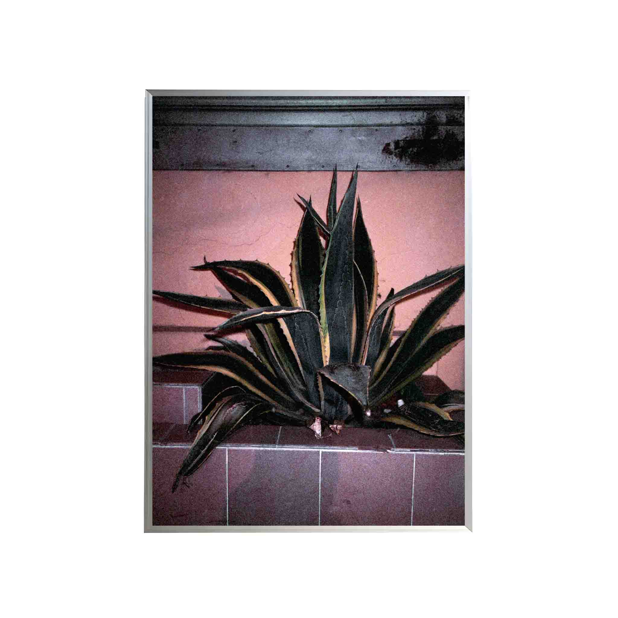 SERIE LA PAZ: # 01 by Nicolás Wormull