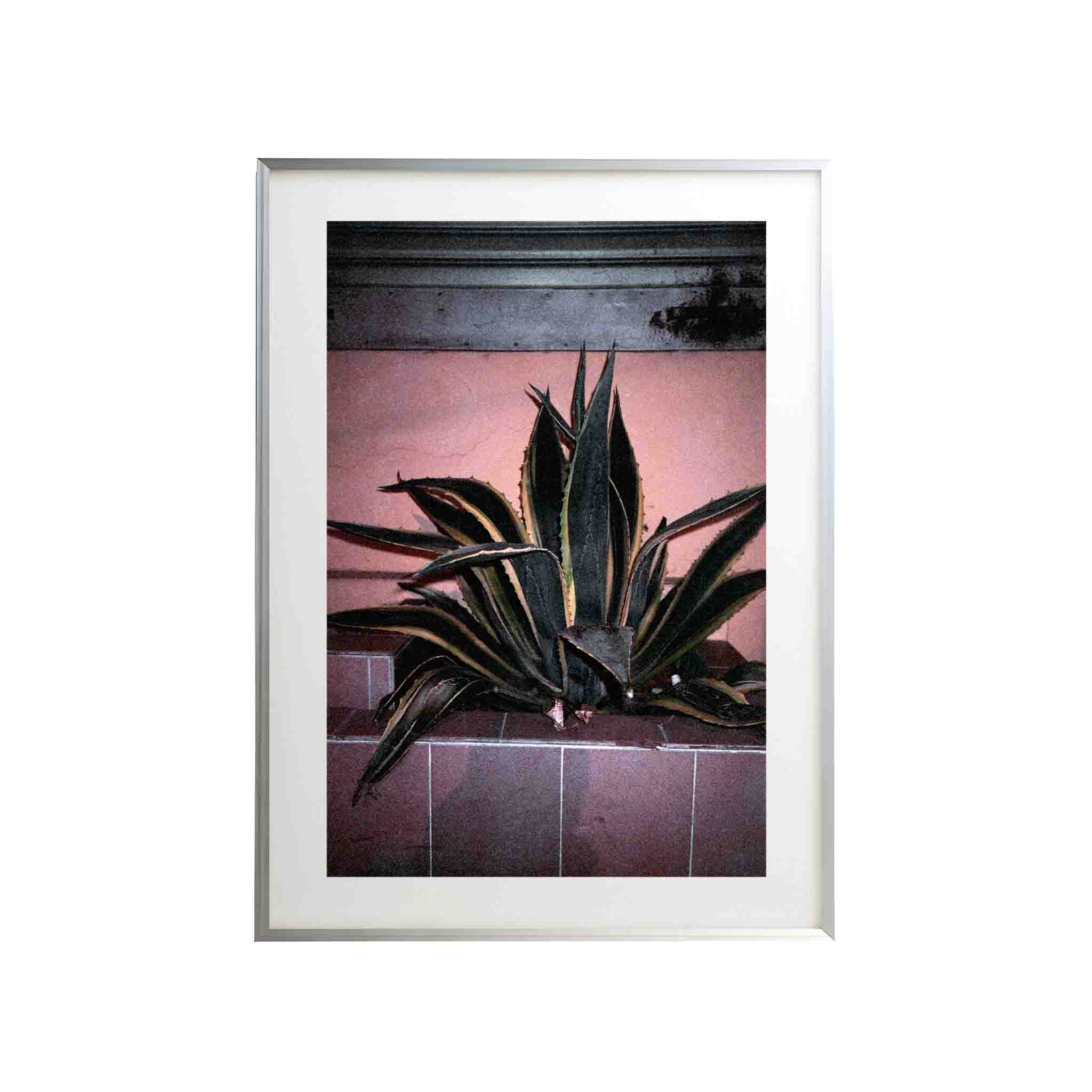 SERIE LA PAZ: # 01 by Nicolás Wormull