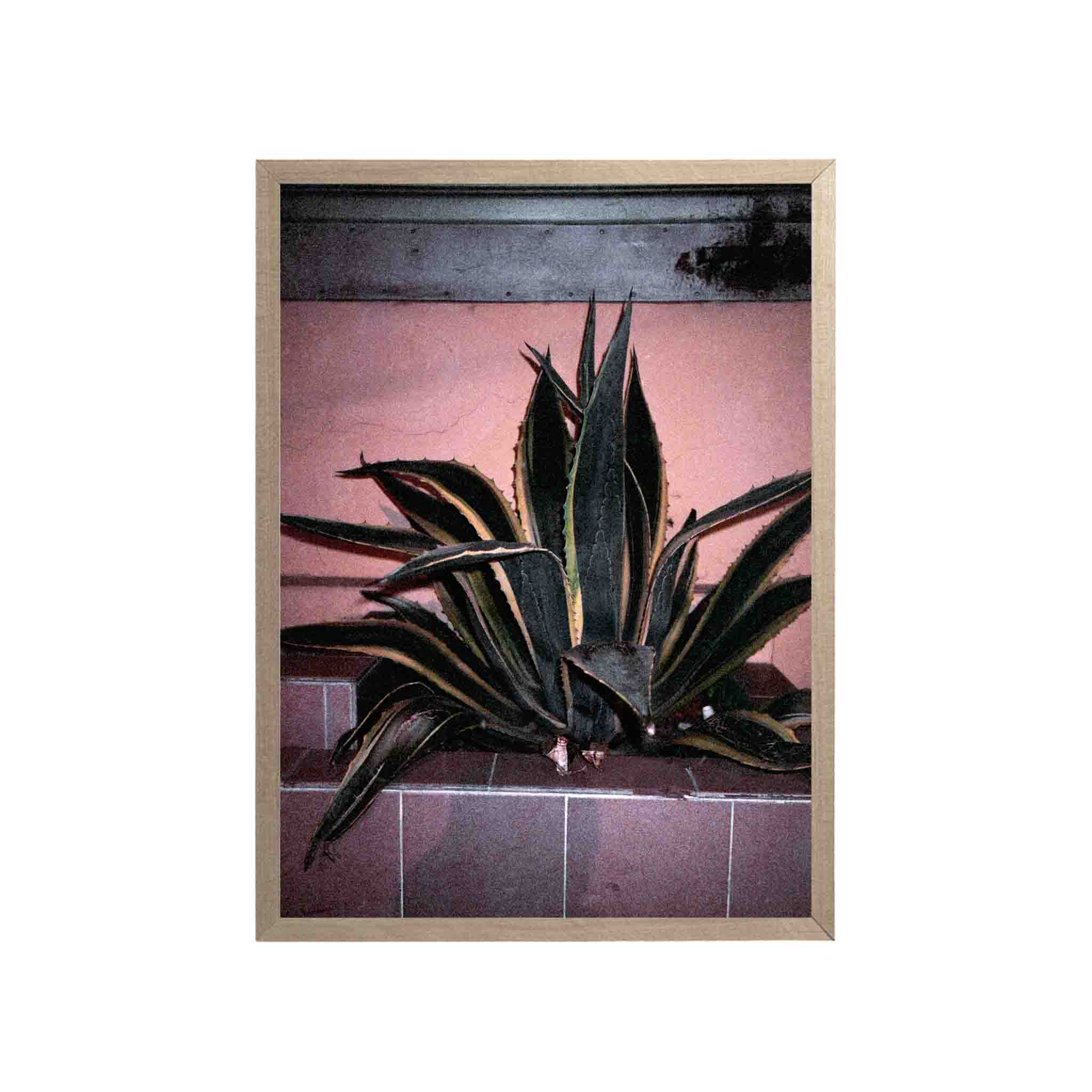 SERIE LA PAZ: # 01 by Nicolás Wormull