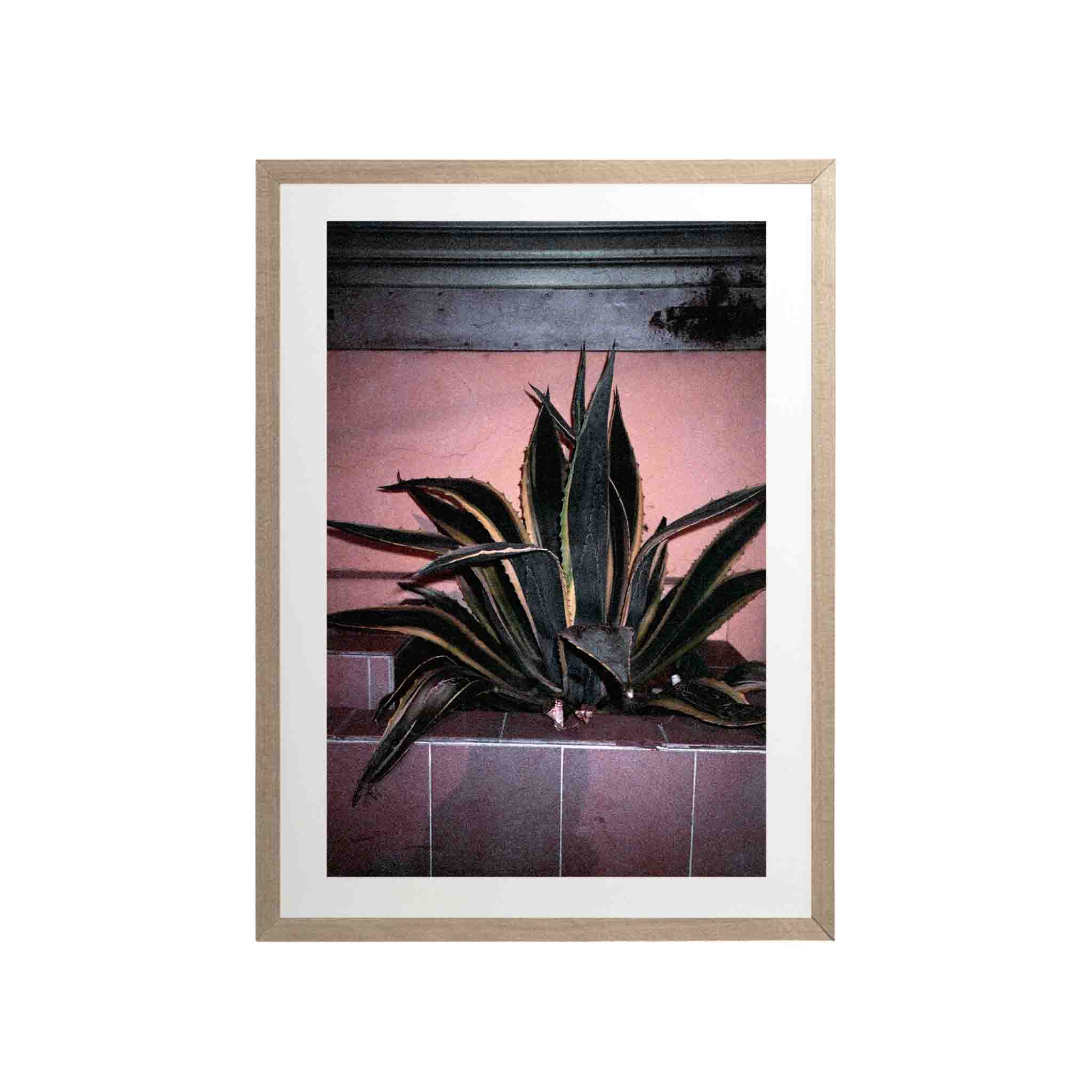 SERIE LA PAZ: # 01 by Nicolás Wormull