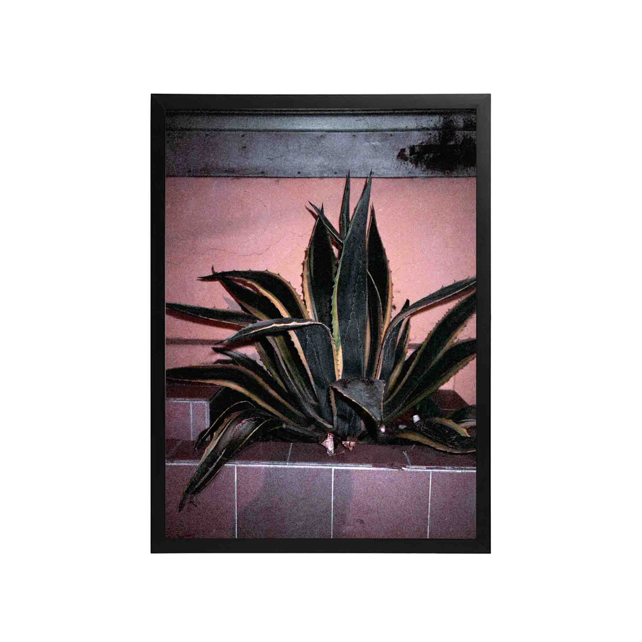 SERIE LA PAZ: # 01 by Nicolás Wormull