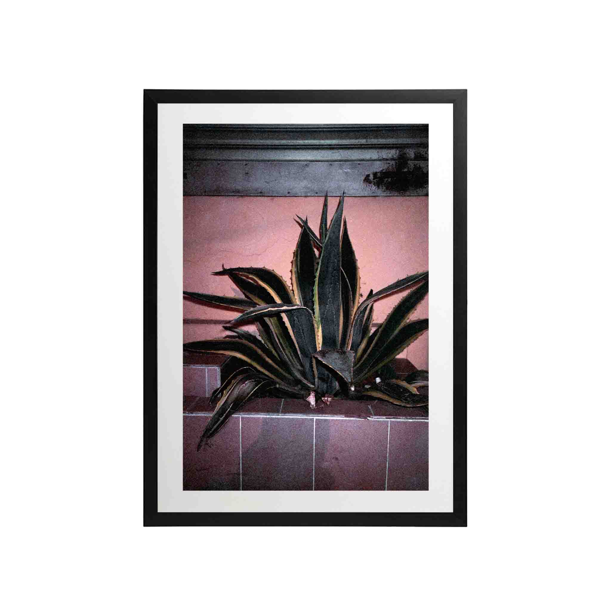 SERIE LA PAZ: # 01 by Nicolás Wormull