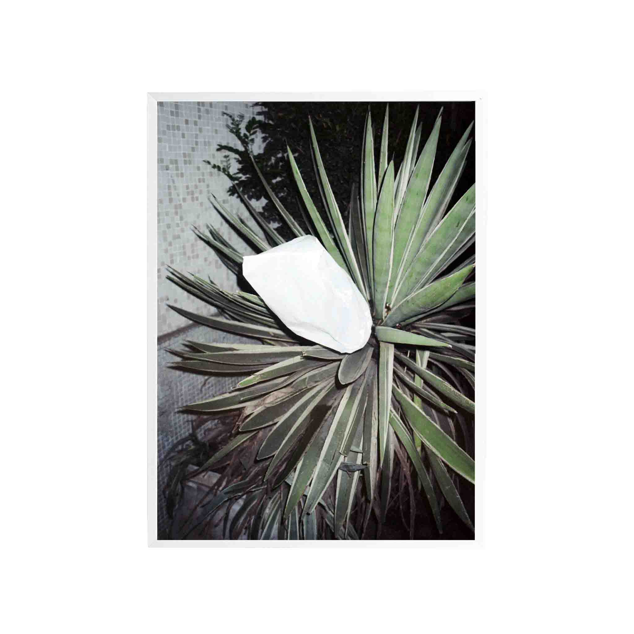 SERIE SAO PAOLO: # 02 by Nicolás Wormull