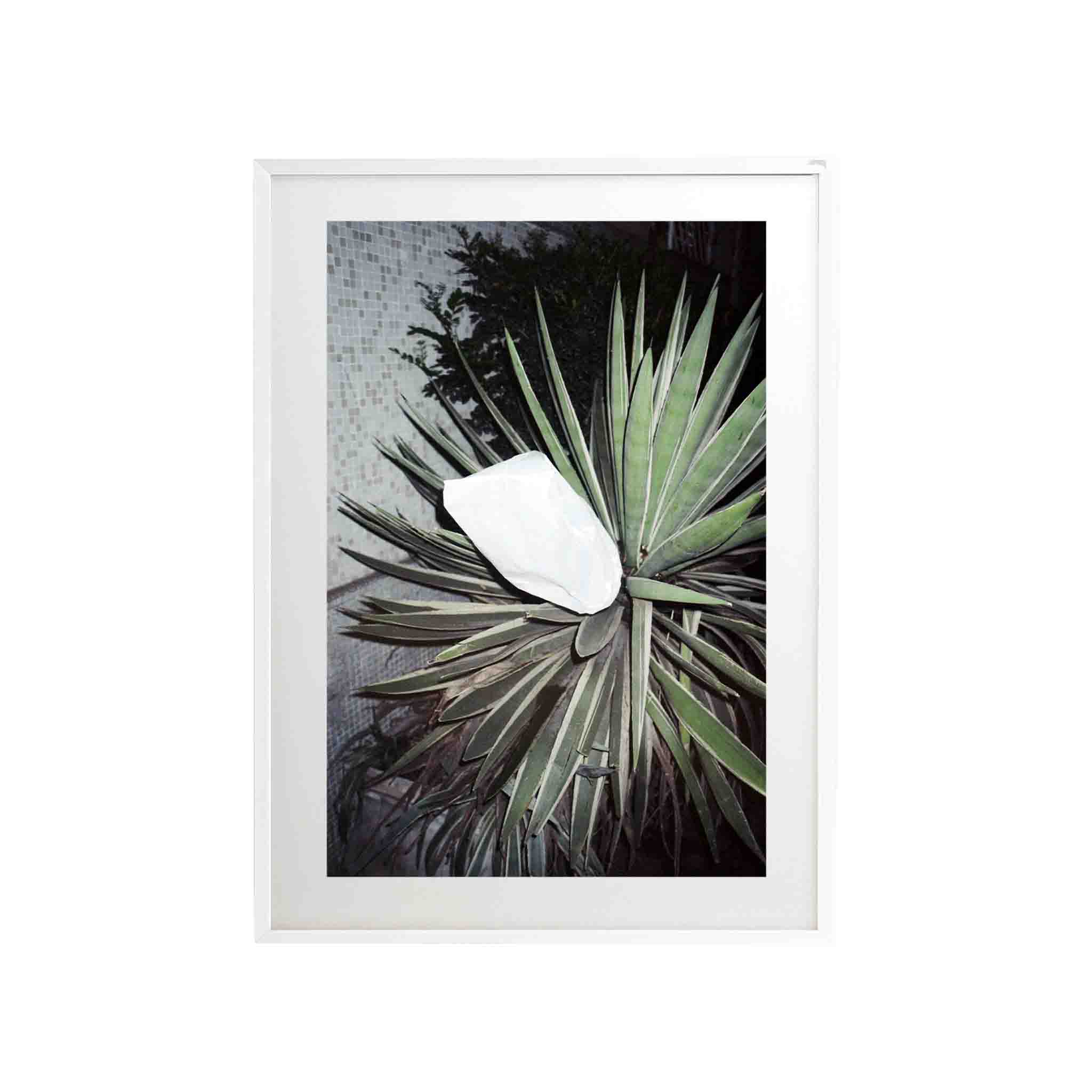 SERIE SAO PAOLO: # 02 by Nicolás Wormull