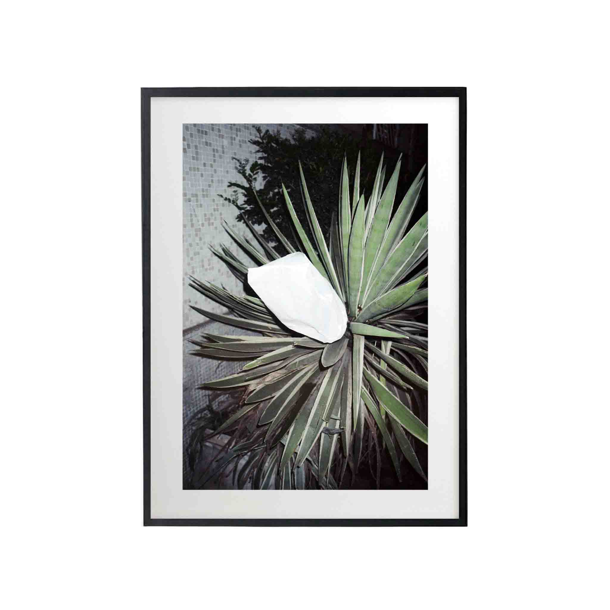 SERIE SAO PAOLO: # 02 by Nicolás Wormull