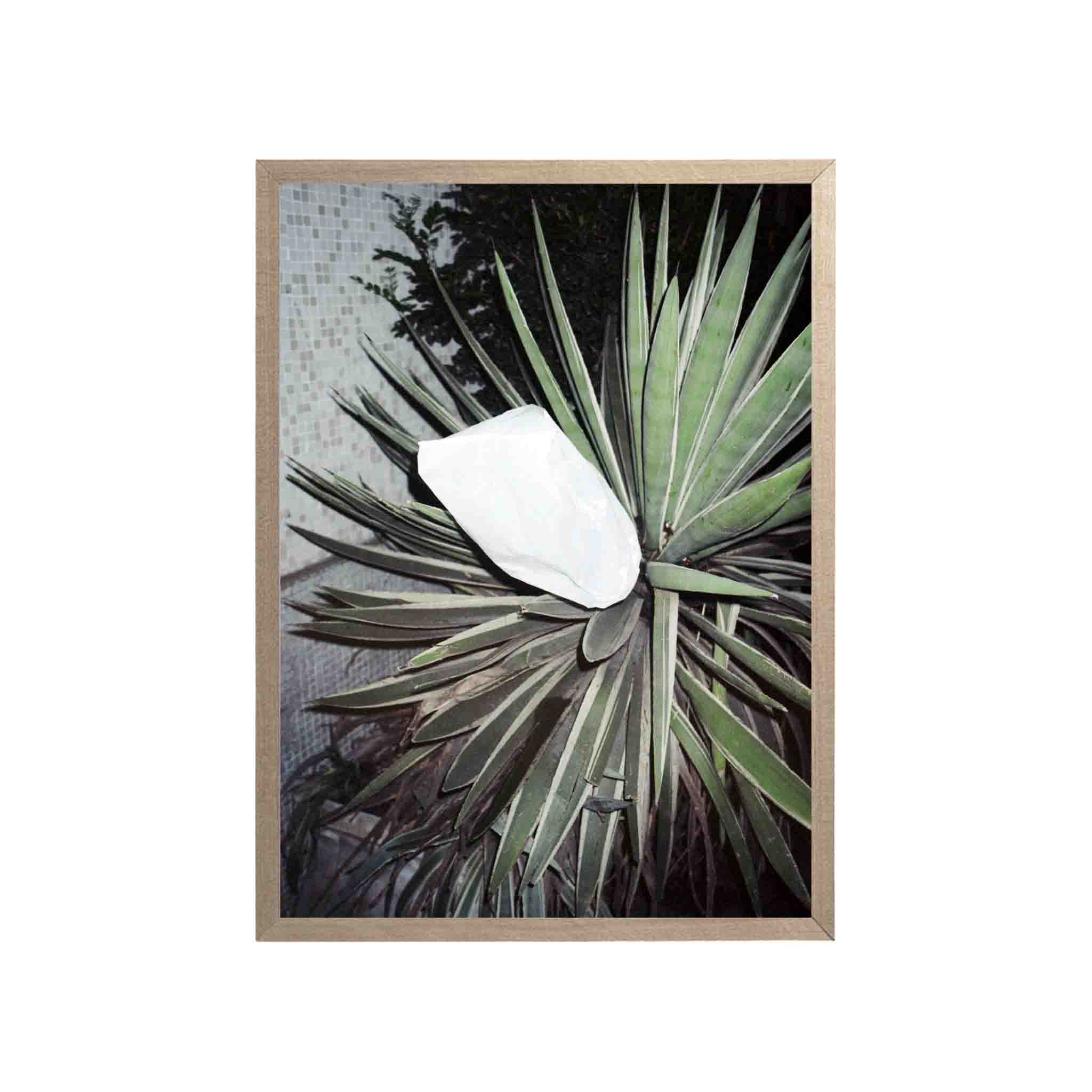 SERIE SAO PAOLO: # 02 by Nicolás Wormull