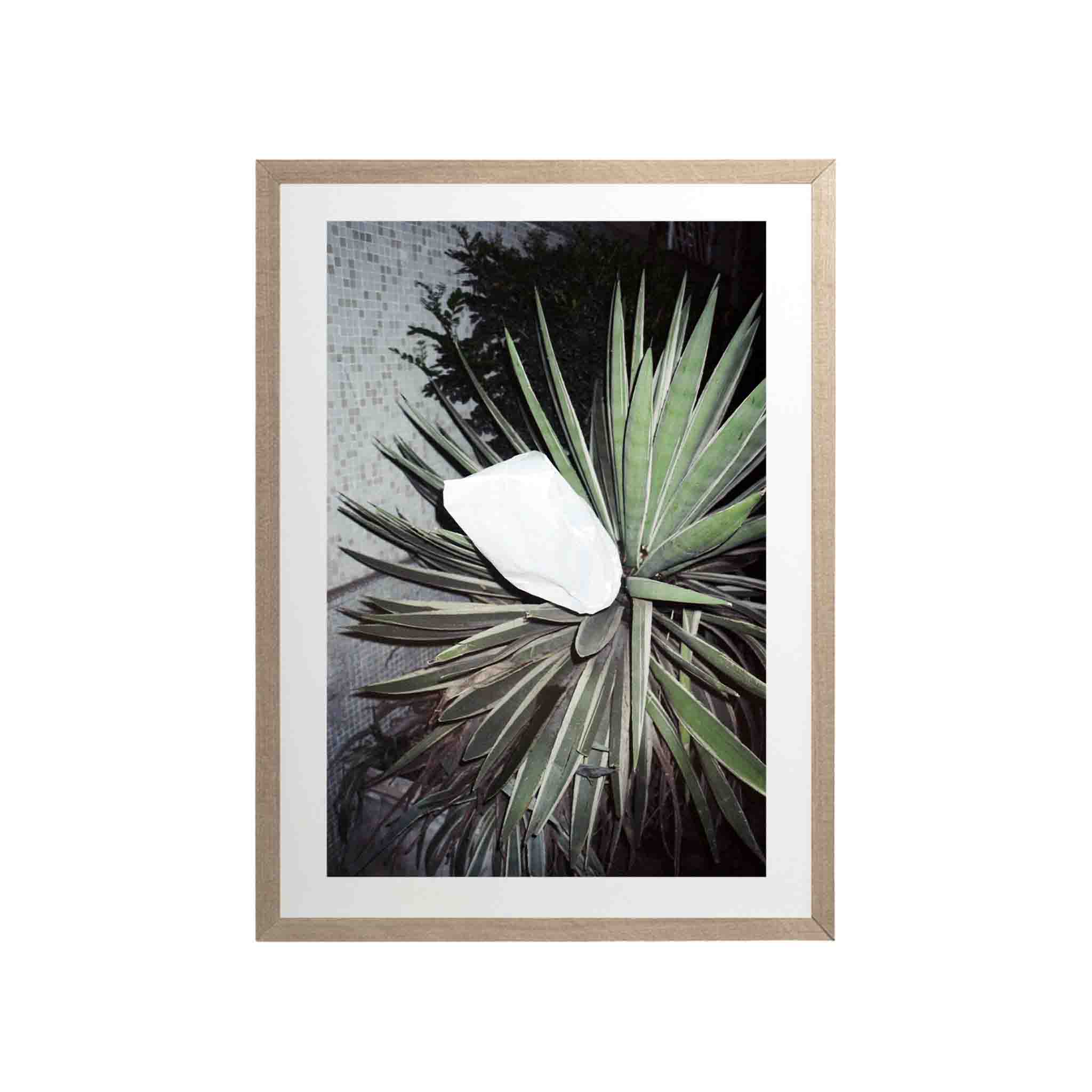 SERIE SAO PAOLO: # 02 by Nicolás Wormull