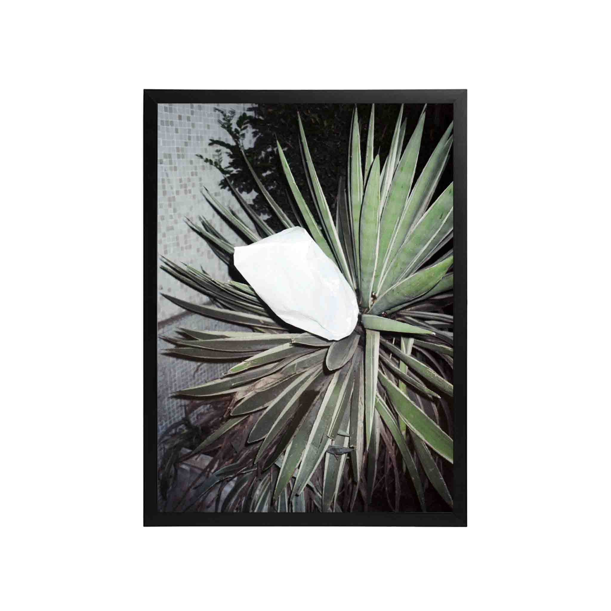 SERIE SAO PAOLO: # 02 by Nicolás Wormull