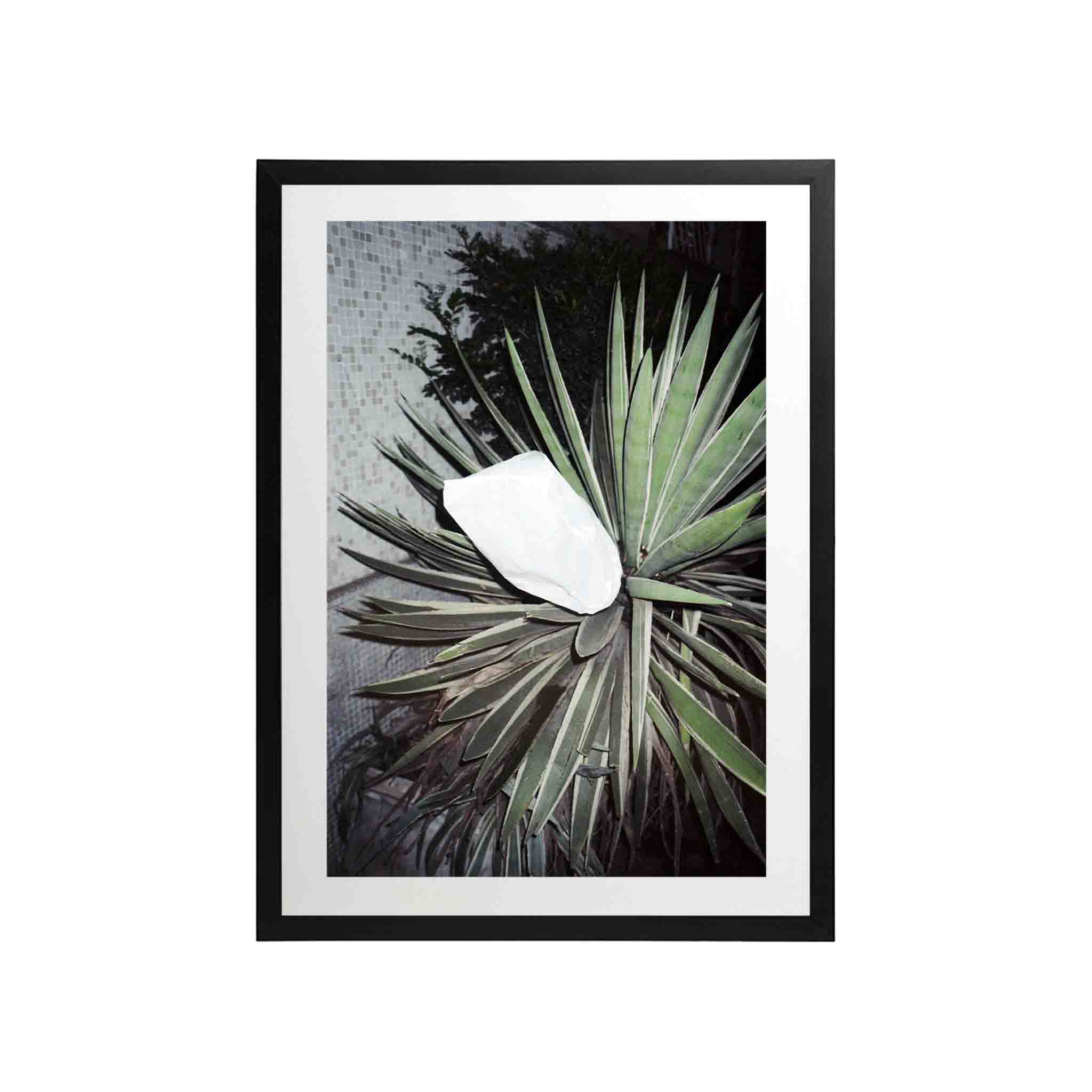 SERIE SAO PAOLO: # 02 by Nicolás Wormull