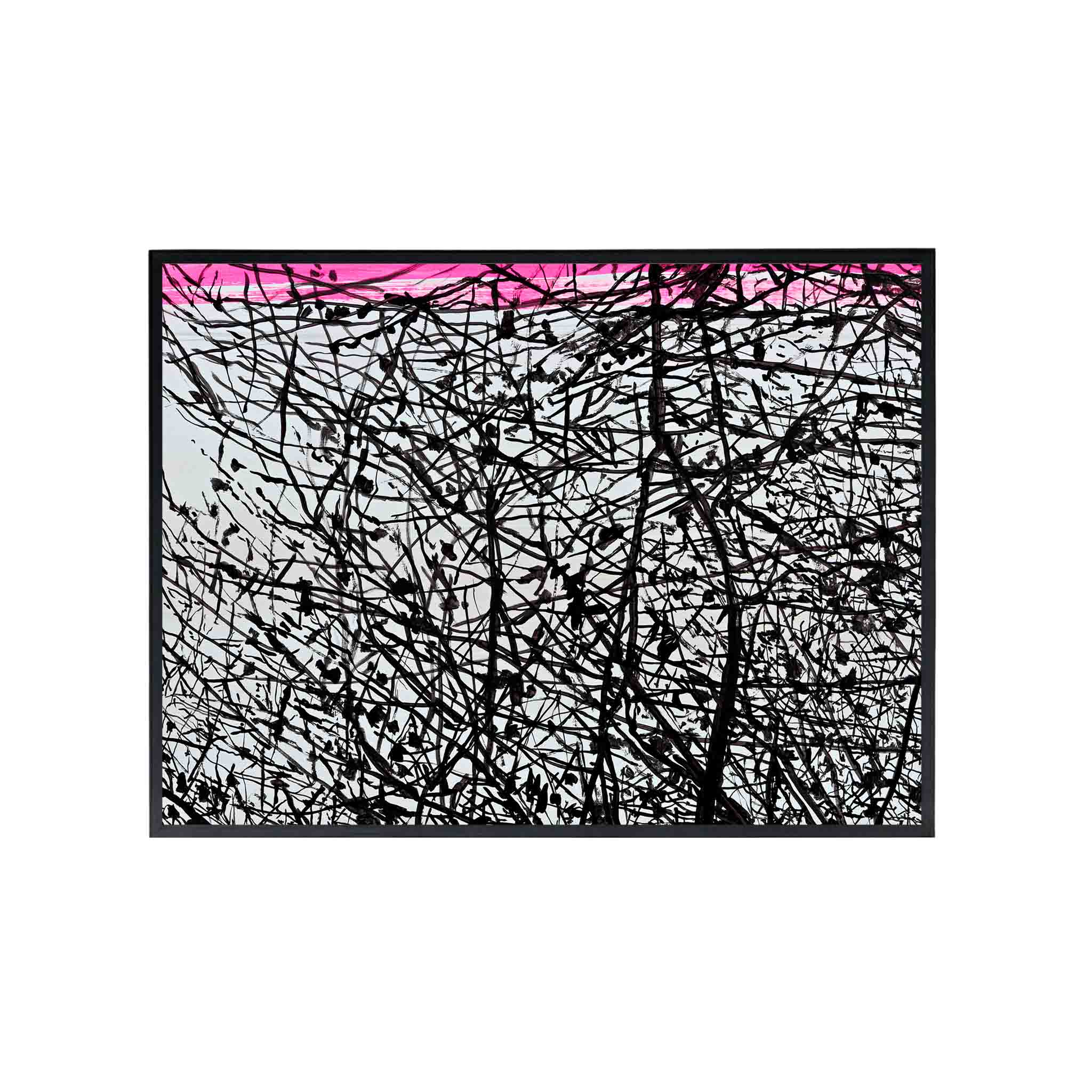 TONGOY by Alejandro Quiroga - CODÚ