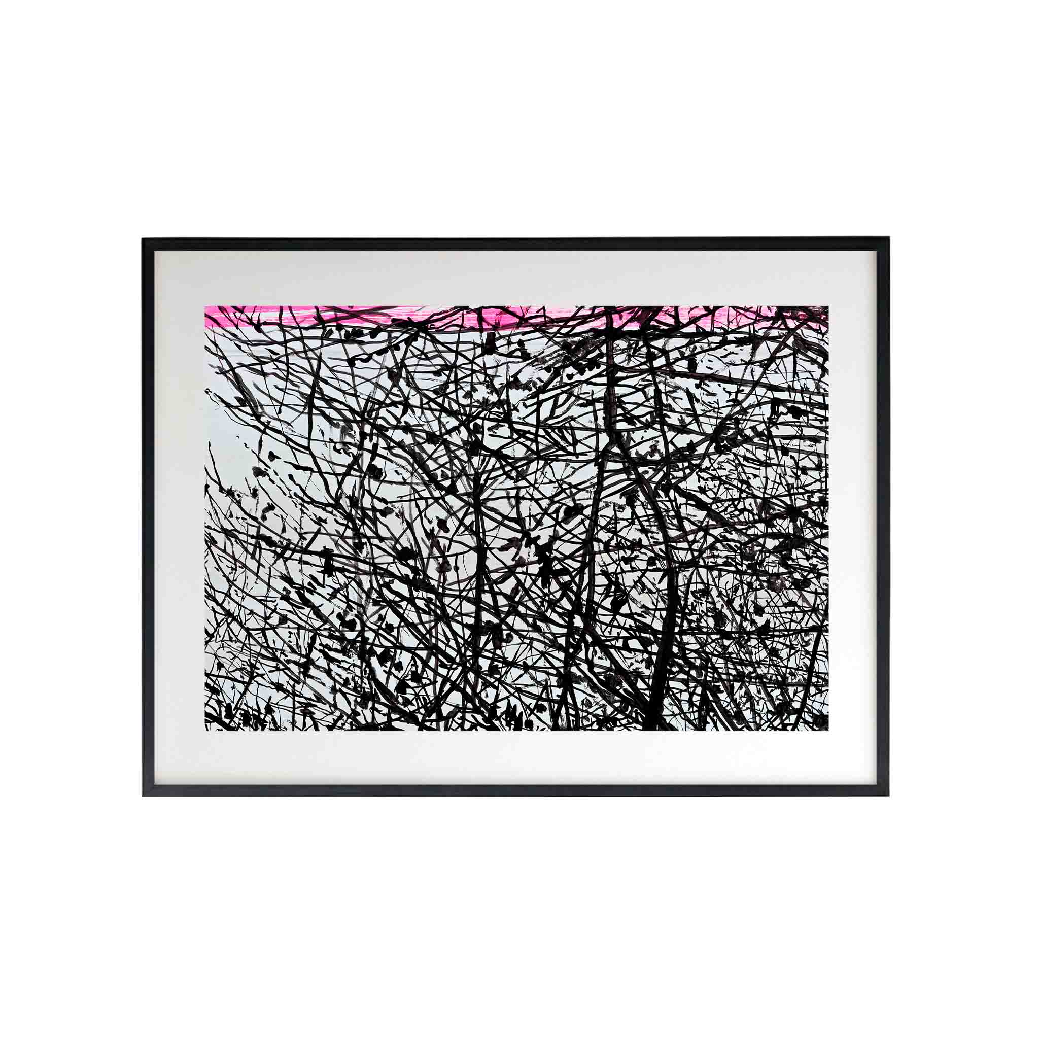 TONGOY by Alejandro Quiroga - CODÚ