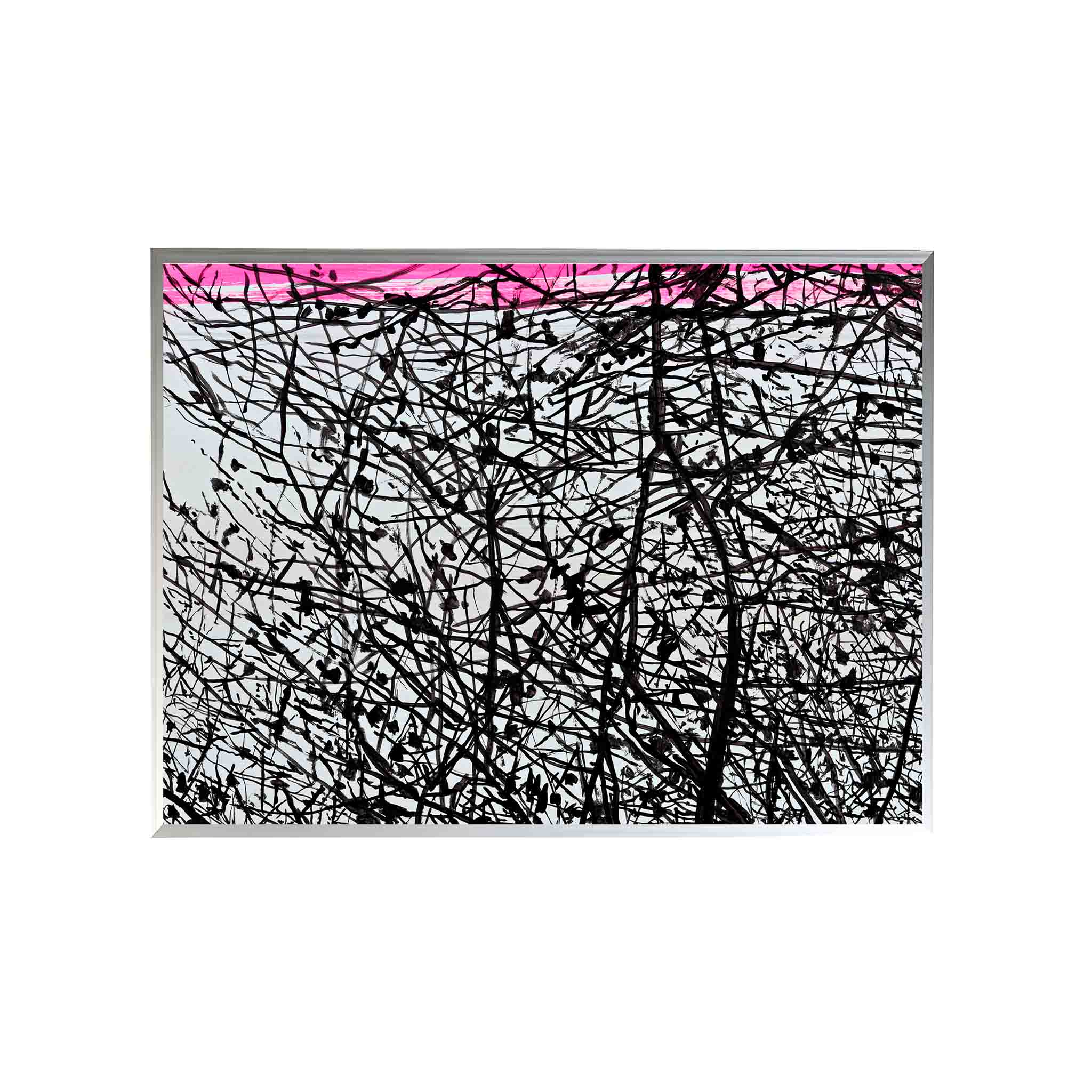 TONGOY by Alejandro Quiroga - CODÚ