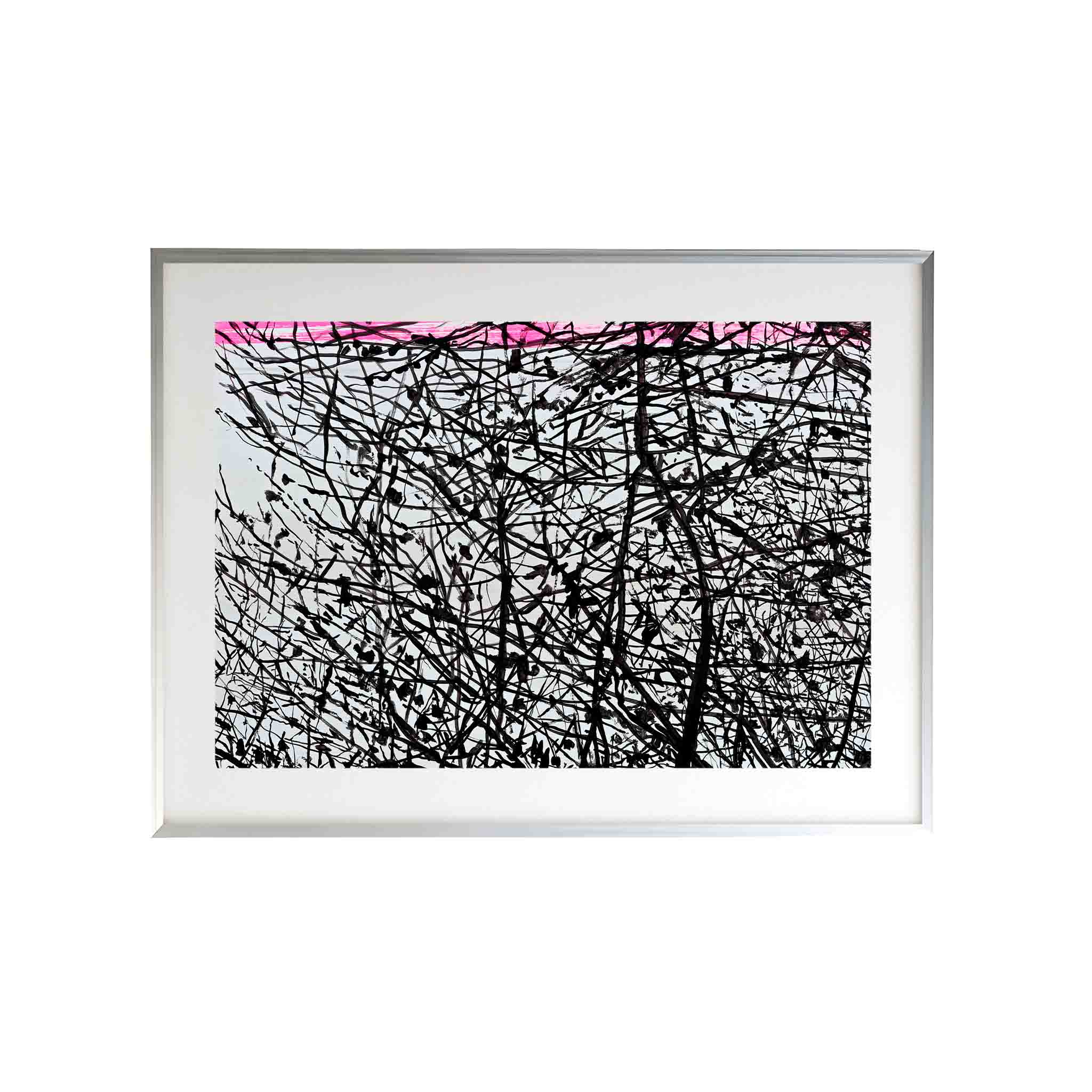 TONGOY by Alejandro Quiroga - CODÚ