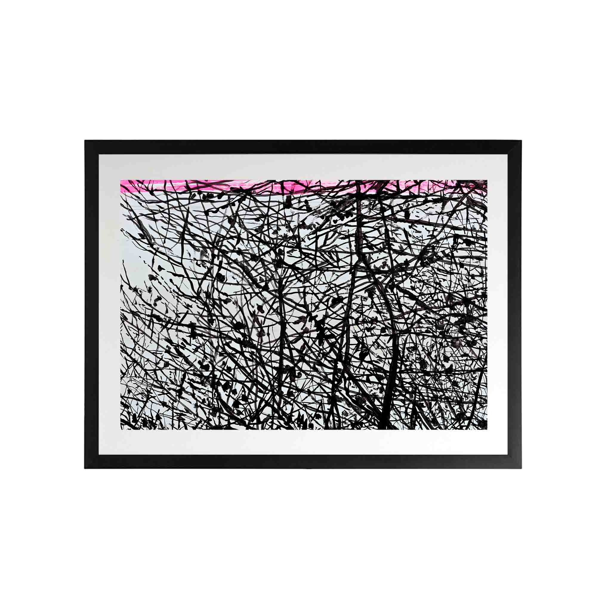 TONGOY by Alejandro Quiroga - CODÚ